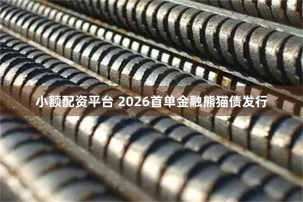 小额配资平台 2026首单金融熊猫债发行